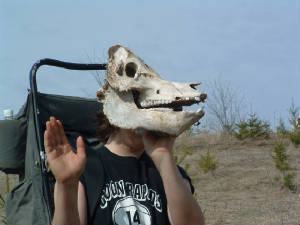 scoutsatfarm2004.jpg
